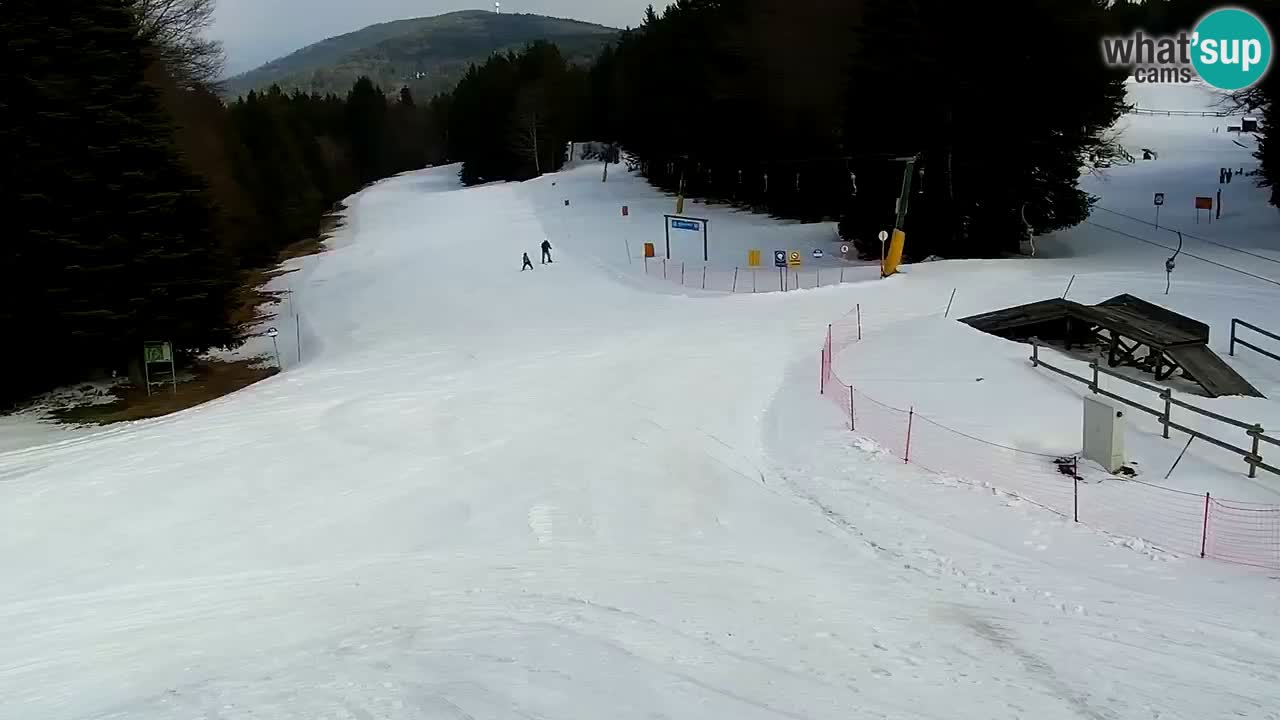 SKI Maribor Pohorje webcam Ruška