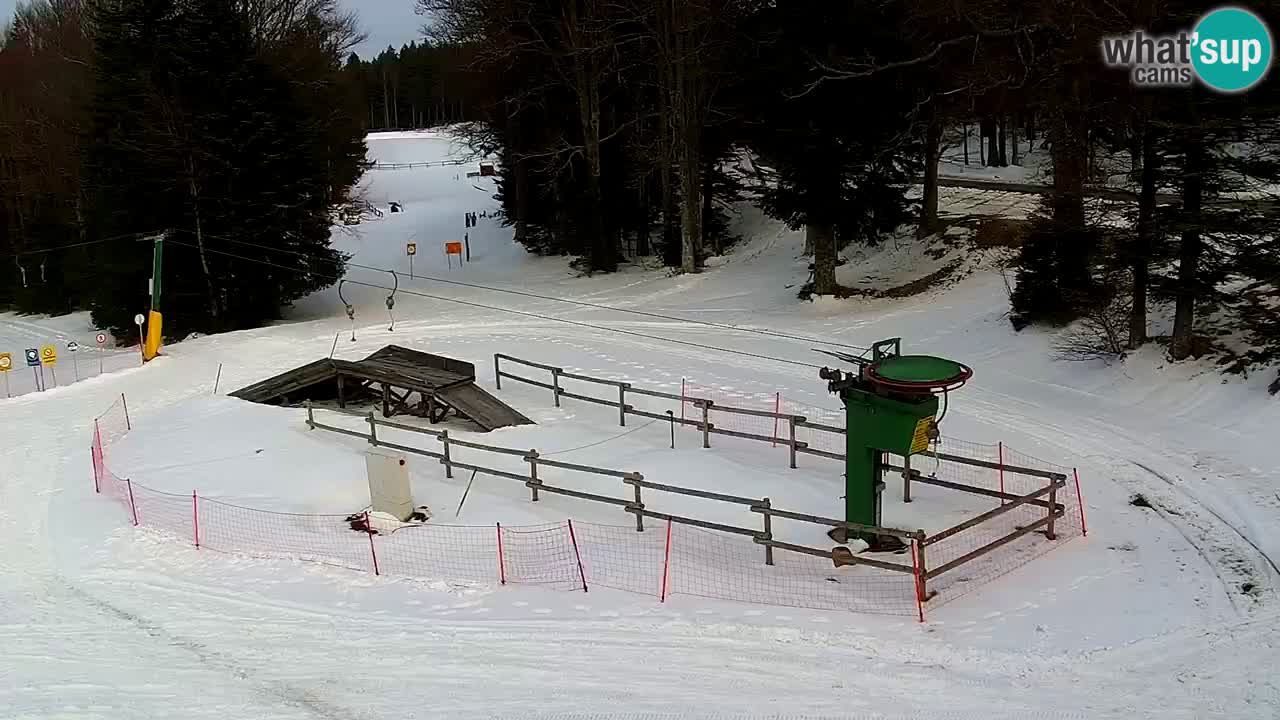 Smučišče Mariborsko Pohorje – spletna kamera Ruška zgoraj