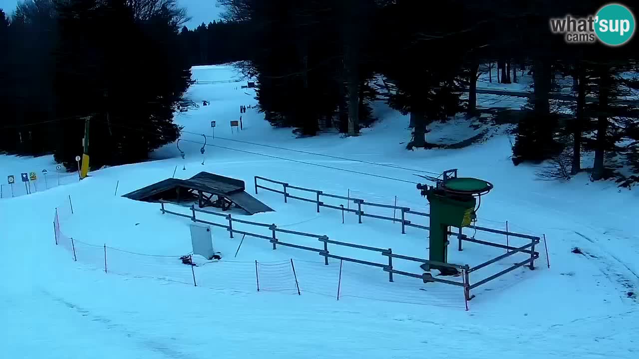 Estaciones de esquí Maribor Pohorje en vivo Ruška