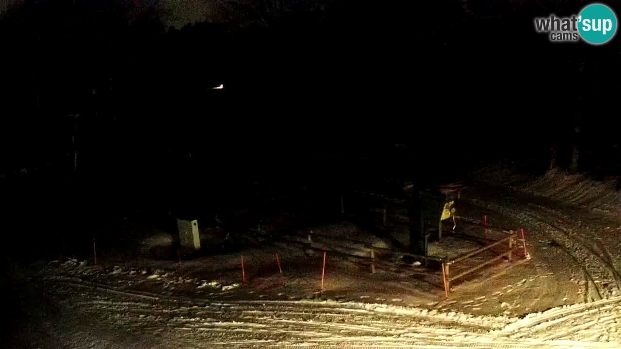 Smučišče Mariborsko Pohorje – spletna kamera Ruška zgoraj