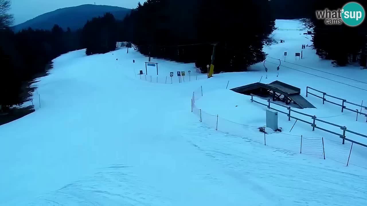 Stations de ski Maribor Pohorje web cam Ruška