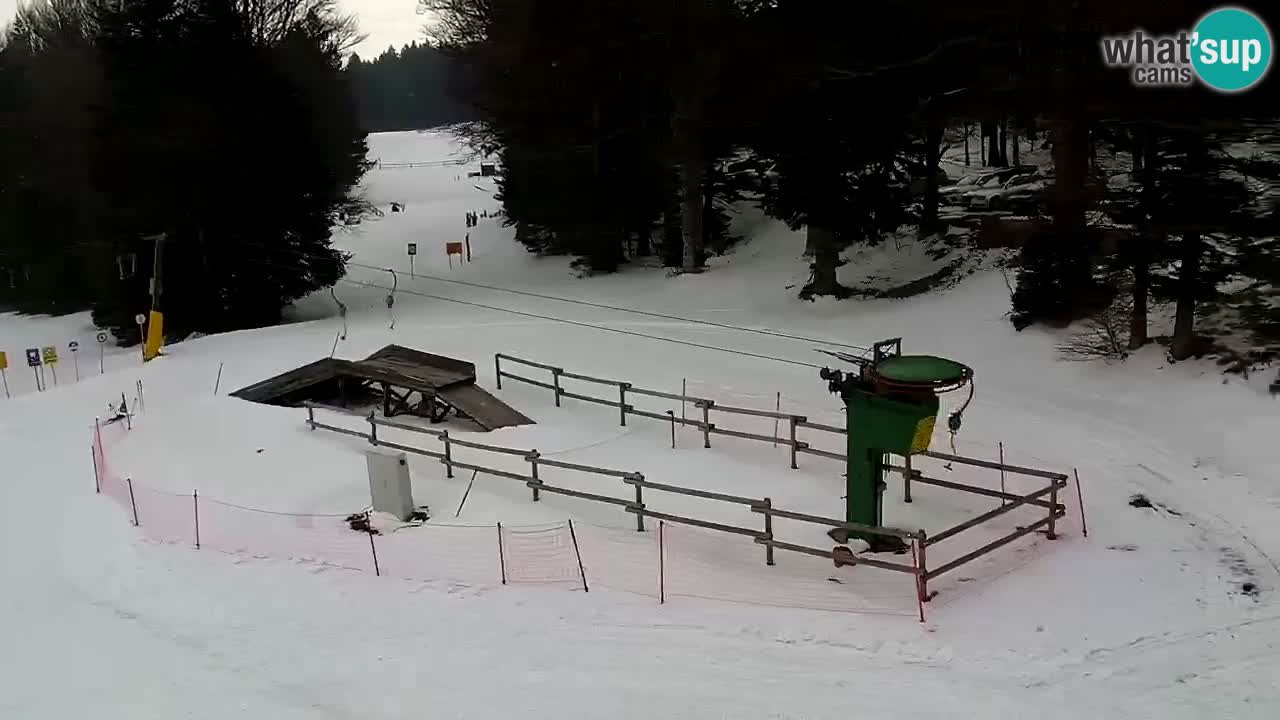 Stations de ski Maribor Pohorje web cam Ruška