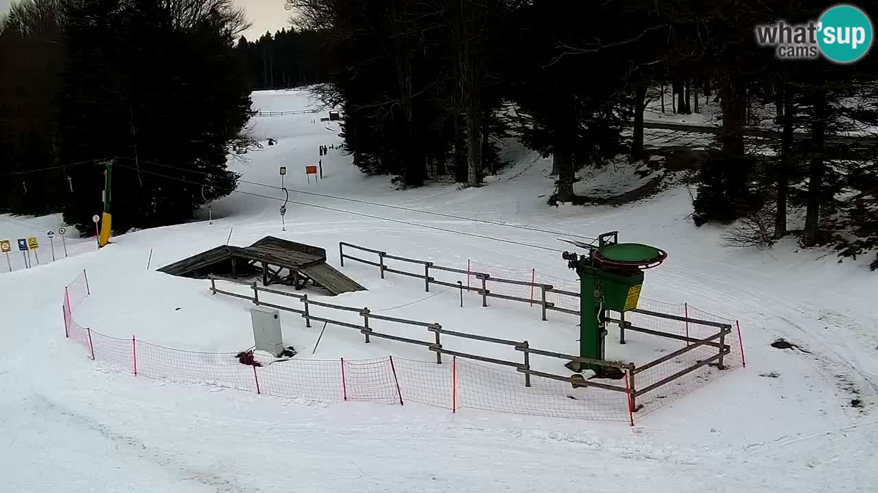 Estaciones de esquí Maribor Pohorje en vivo Ruška