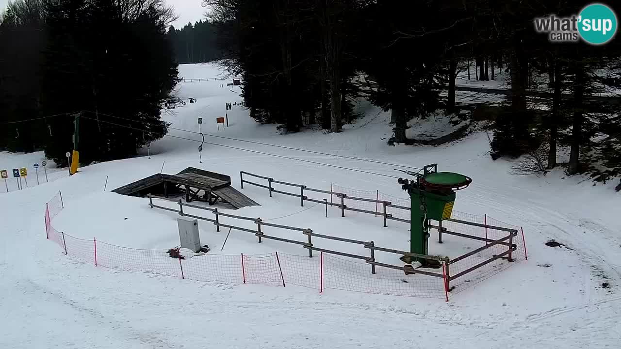 Estaciones de esquí Maribor Pohorje en vivo Ruška