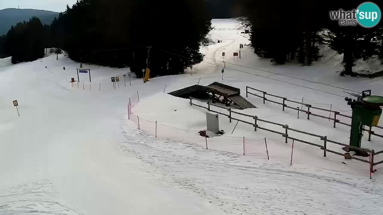 SKI Maribor Pohorje webcam Ruška