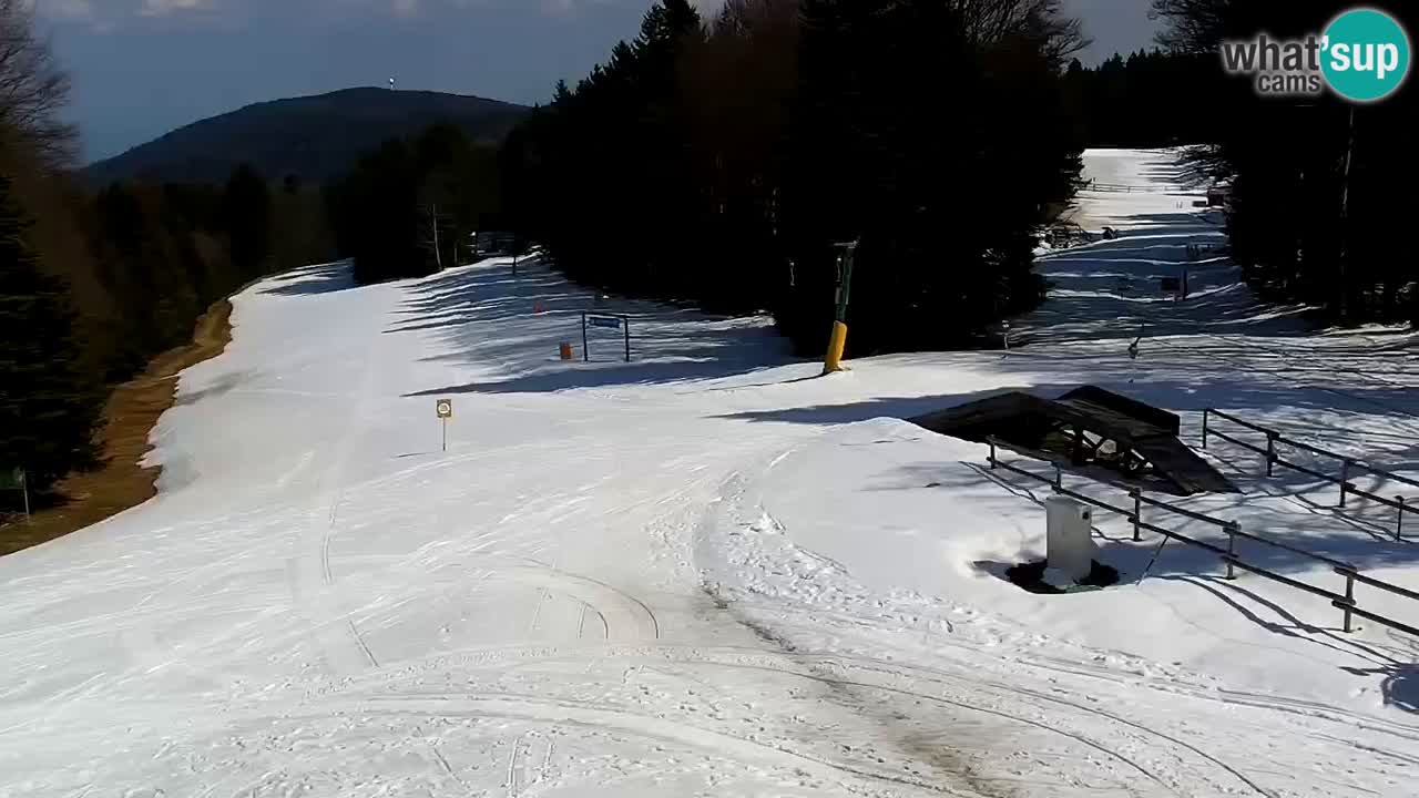 Estaciones de esquí Maribor Pohorje en vivo Ruška