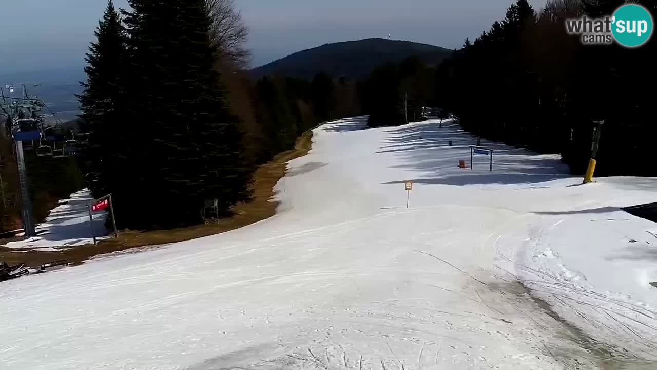 Smučišče Mariborsko Pohorje – spletna kamera Ruška zgoraj