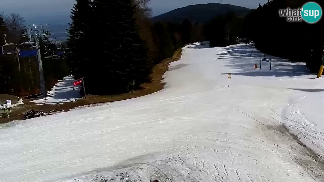 Smučišče Mariborsko Pohorje – spletna kamera Ruška zgoraj