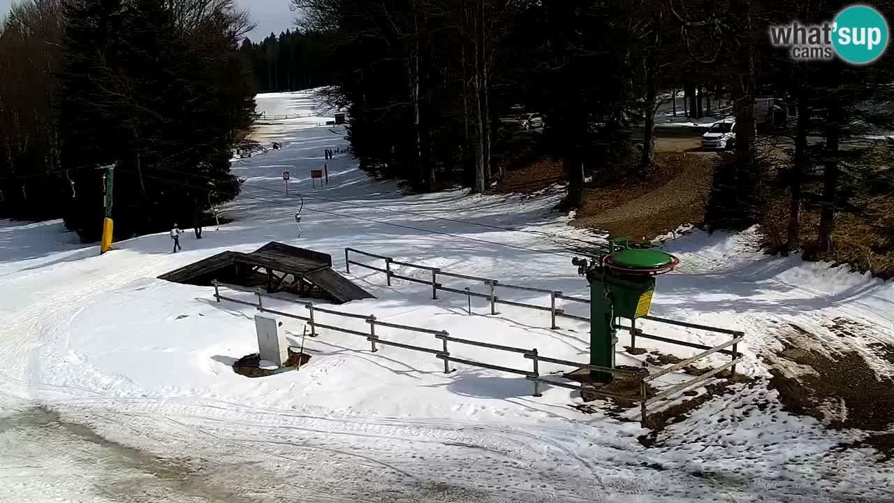 Smučišče Mariborsko Pohorje – spletna kamera Ruška zgoraj