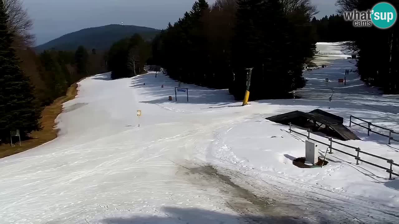 Smučišče Mariborsko Pohorje – spletna kamera Ruška zgoraj