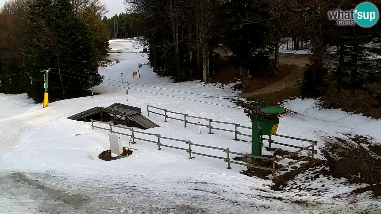 Smučišče Mariborsko Pohorje – spletna kamera Ruška zgoraj