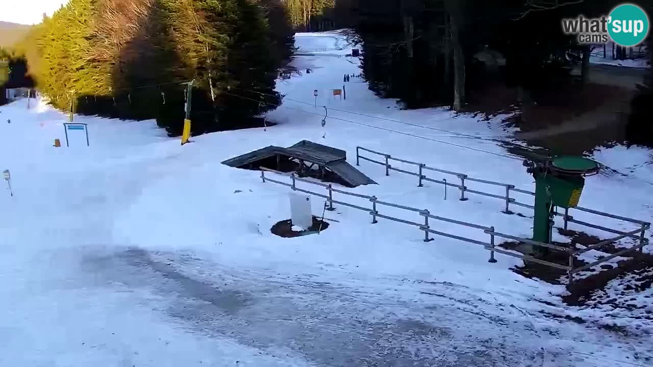 Estaciones de esquí Maribor Pohorje en vivo Ruška