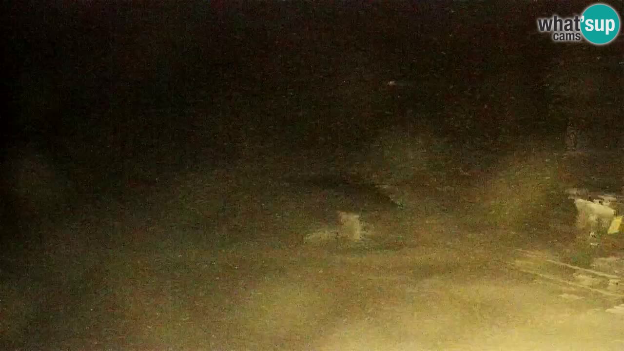 Stazione sciistica Maribor Pohorje – Ruška livecam