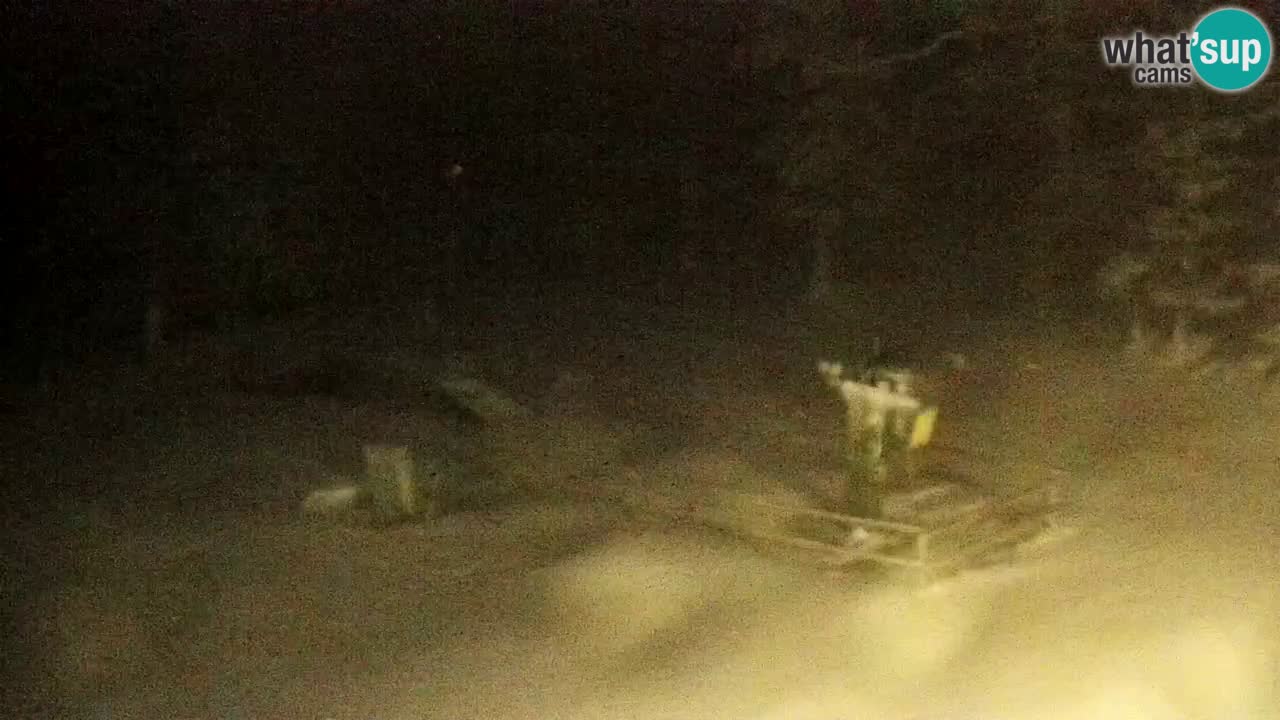 Stazione sciistica Maribor Pohorje – Ruška livecam