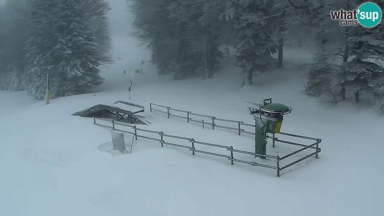 SKI Maribor Pohorje webcam Ruška