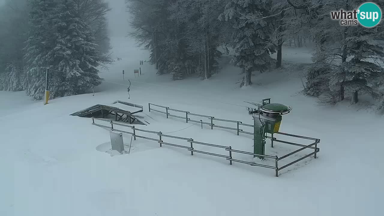 SKI Maribor Pohorje webcam Ruška