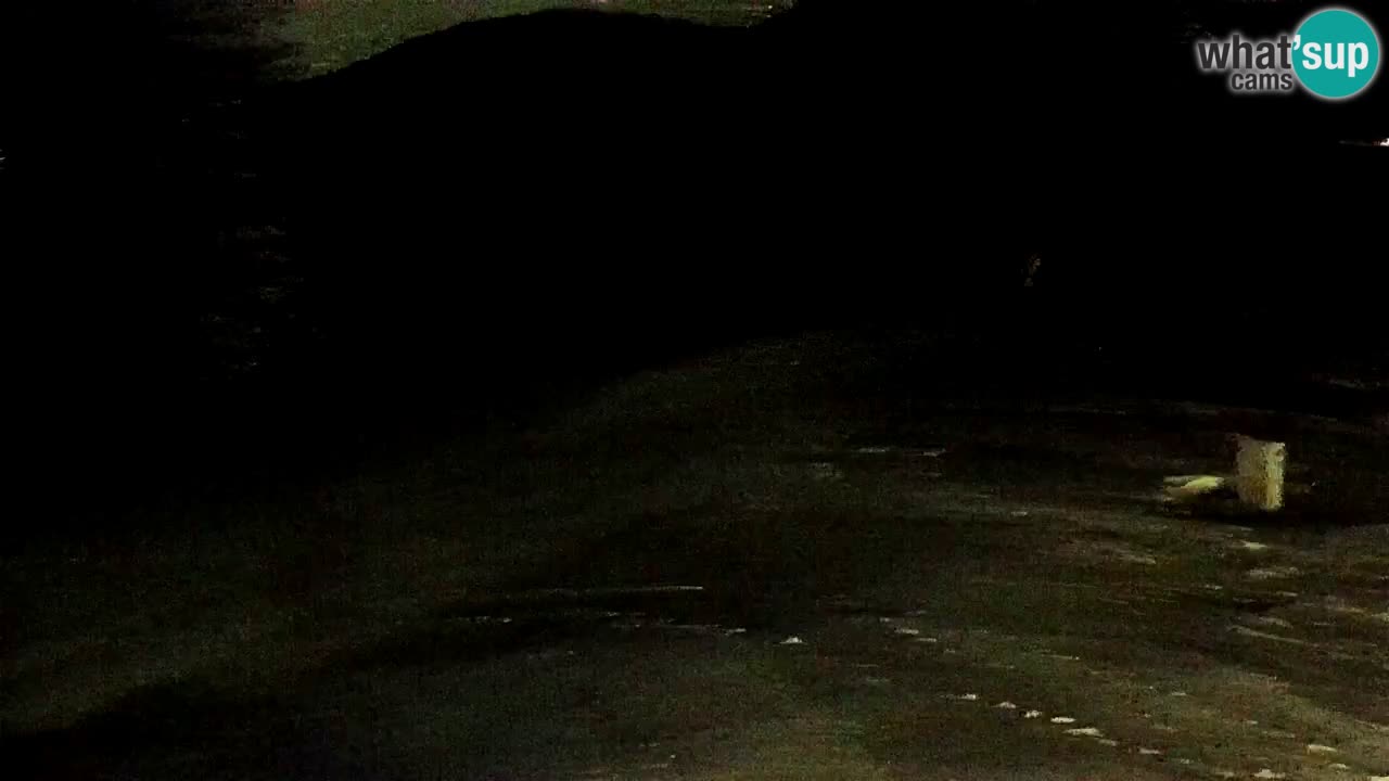 SKI Maribor Pohorje webcam Ruška