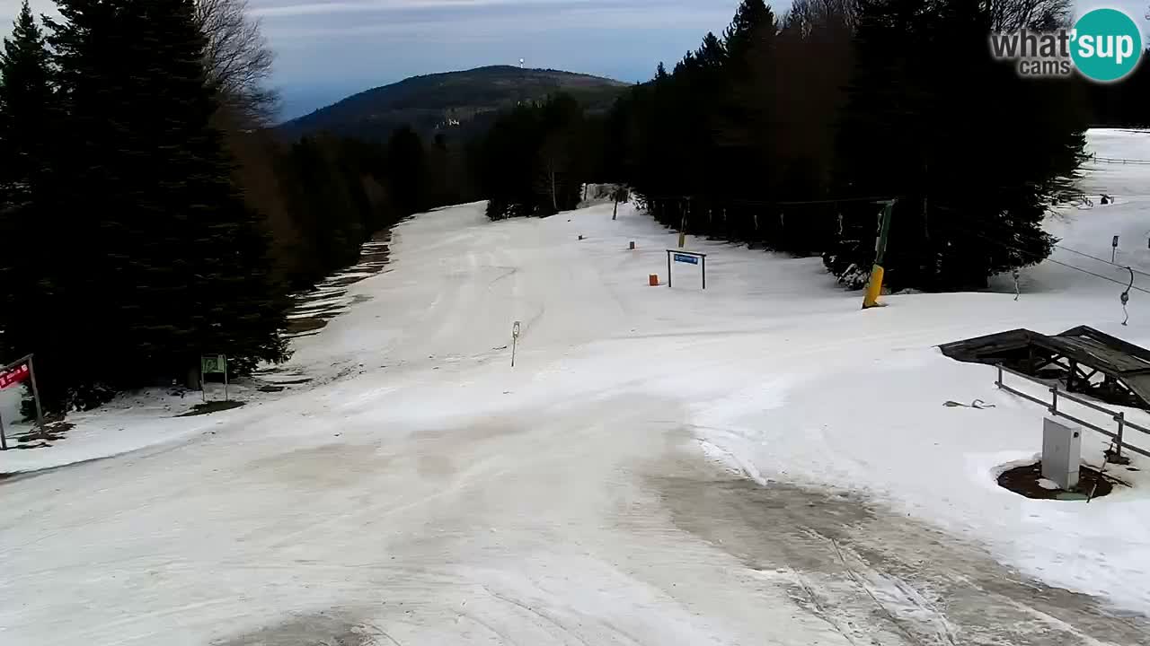 Smučišče Mariborsko Pohorje – spletna kamera Ruška zgoraj