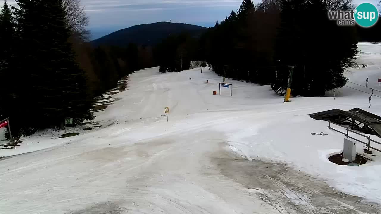SKI Maribor Pohorje webcam Ruška