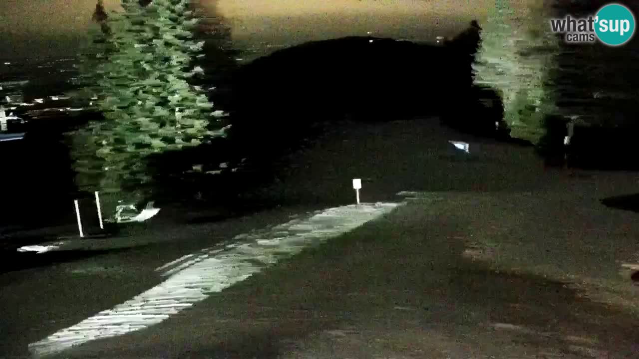 Stations de ski Maribor Pohorje web cam Ruška