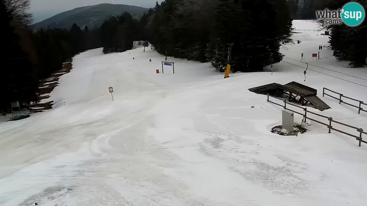 Stations de ski Maribor Pohorje web cam Ruška