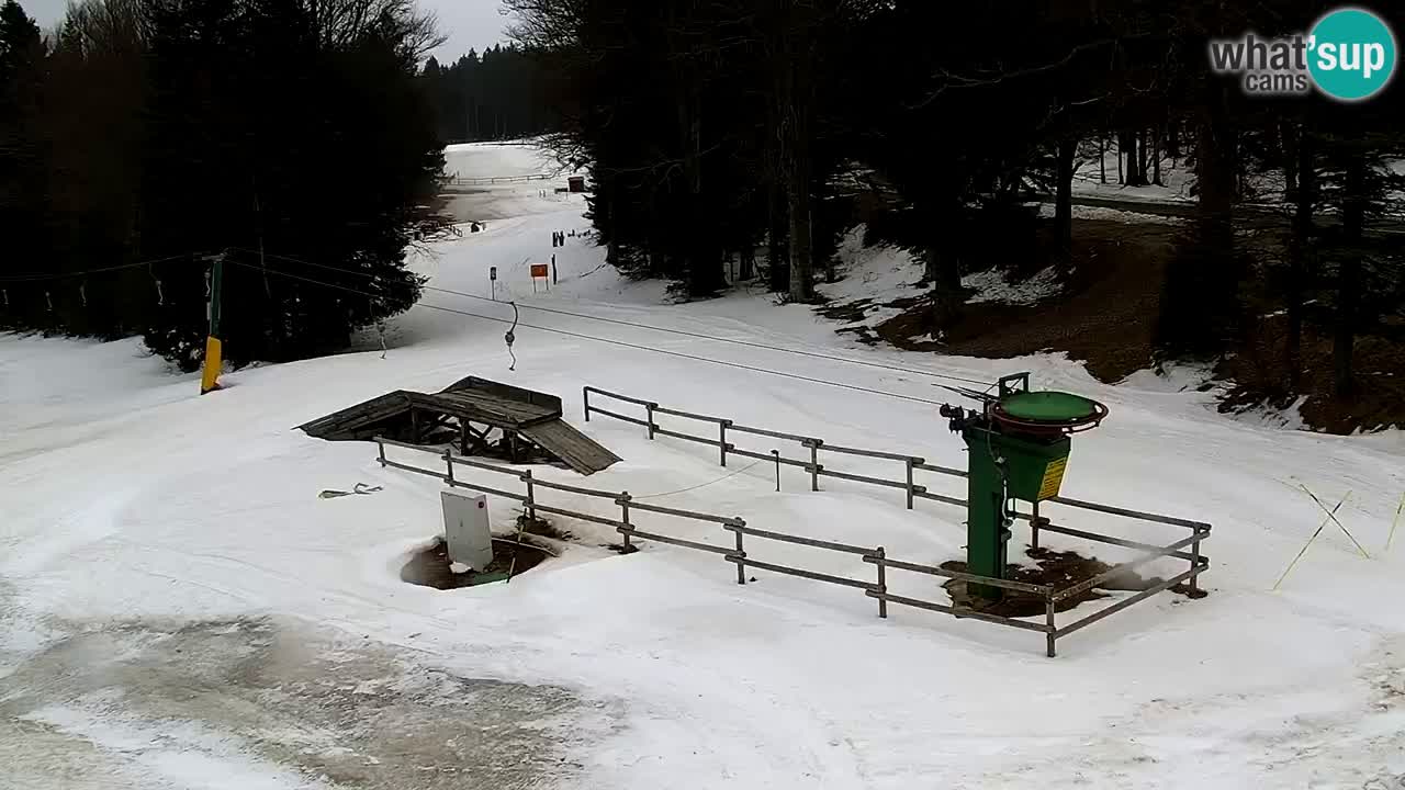 Smučišče Mariborsko Pohorje – spletna kamera Ruška zgoraj