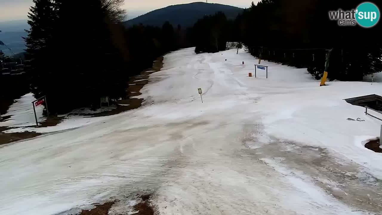 Estaciones de esquí Maribor Pohorje en vivo Ruška