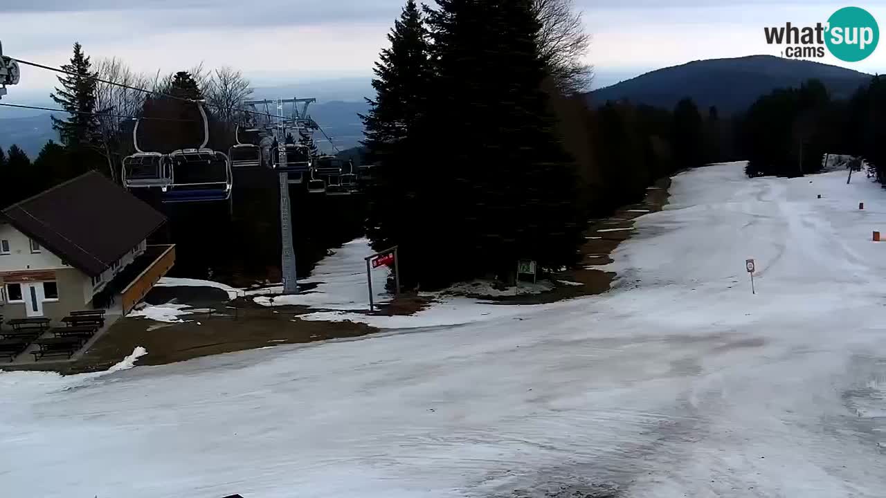 Estaciones de esquí Maribor Pohorje en vivo Ruška