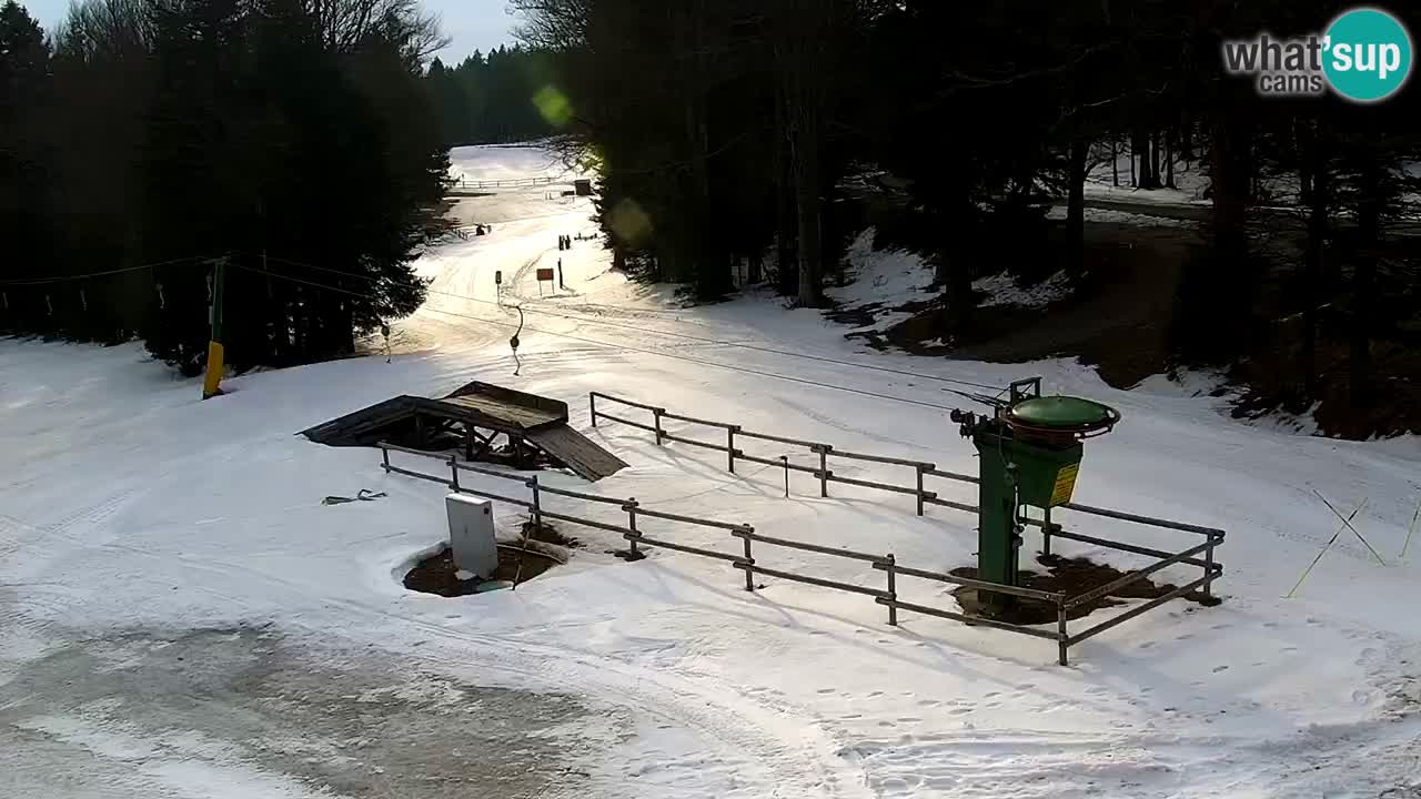 Smučišče Mariborsko Pohorje – spletna kamera Ruška zgoraj