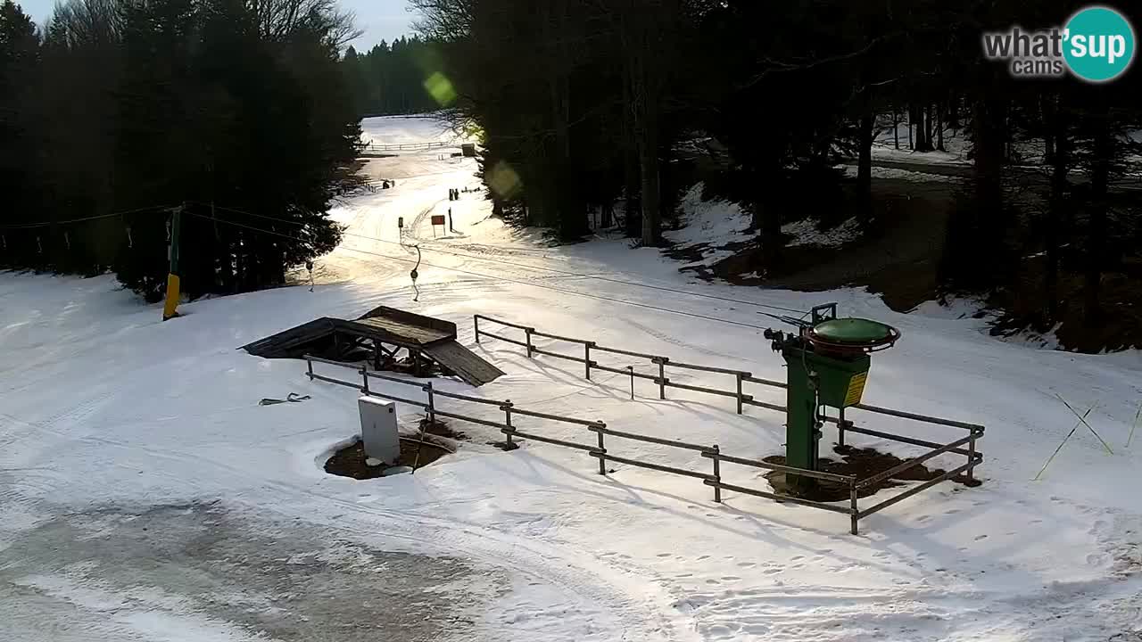 Estaciones de esquí Maribor Pohorje en vivo Ruška