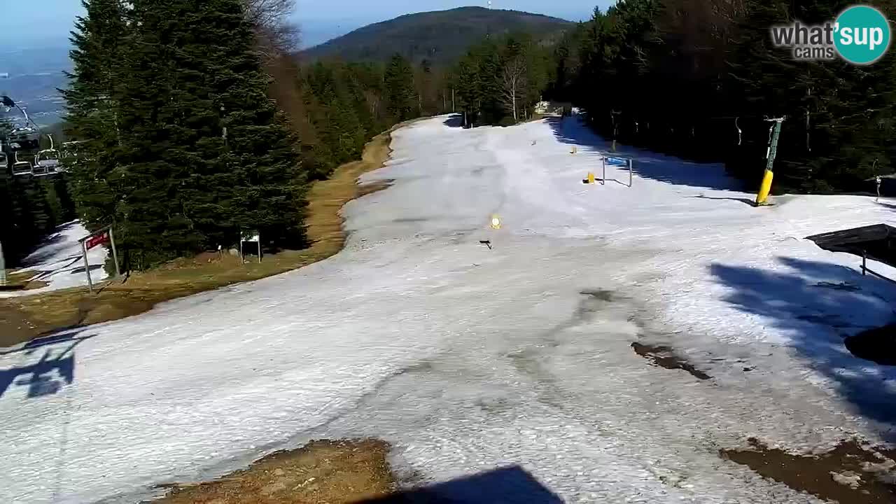 Estaciones de esquí Maribor Pohorje en vivo Ruška