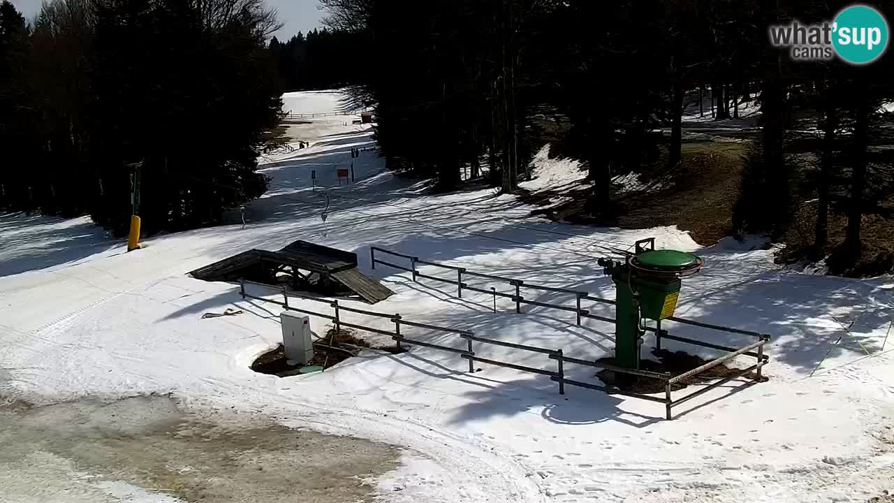 Smučišče Mariborsko Pohorje – spletna kamera Ruška zgoraj