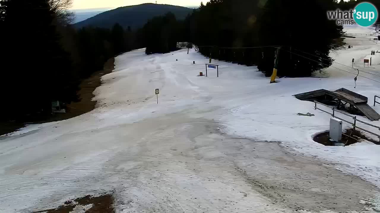 Estaciones de esquí Maribor Pohorje en vivo Ruška