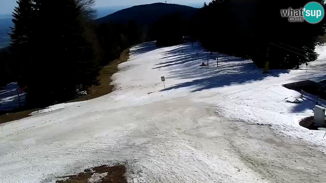 Estaciones de esquí Maribor Pohorje en vivo Ruška