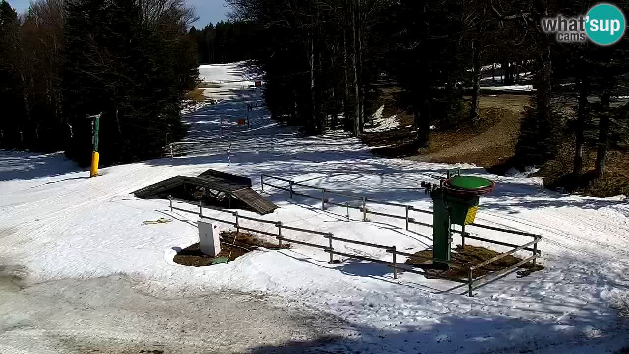 Smučišče Mariborsko Pohorje – spletna kamera Ruška zgoraj