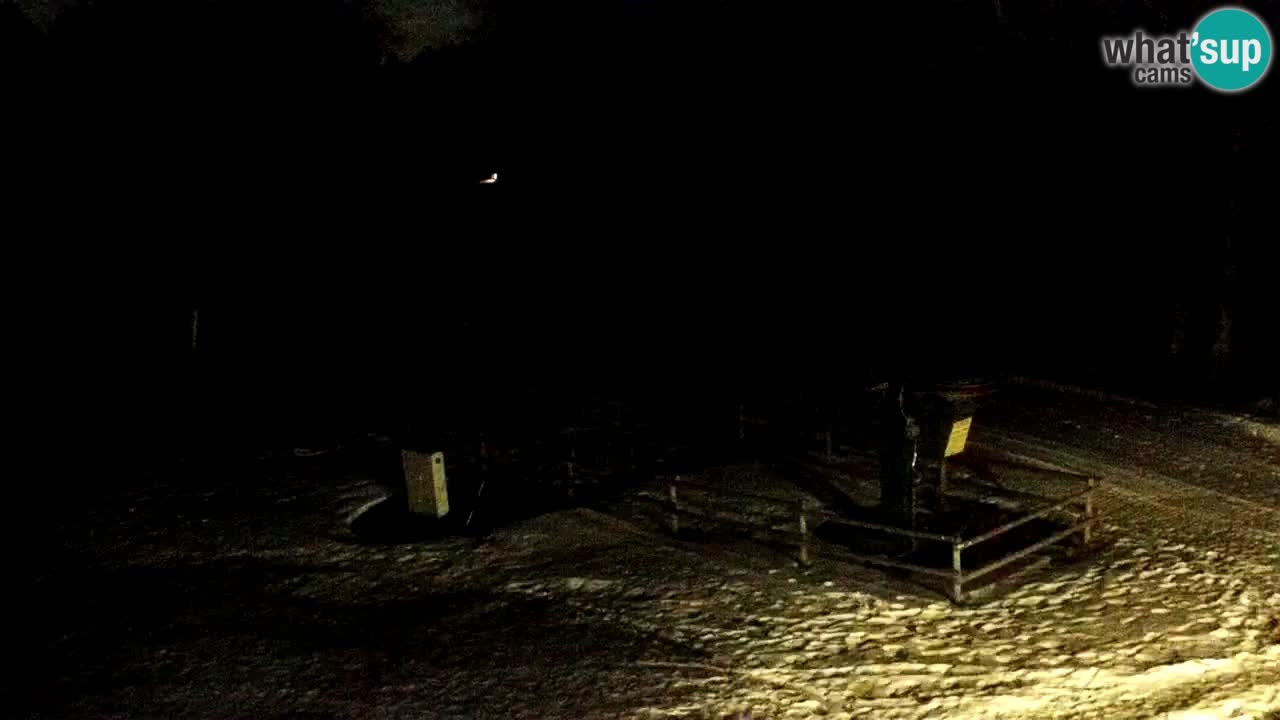 Stations de ski Maribor Pohorje web cam Ruška