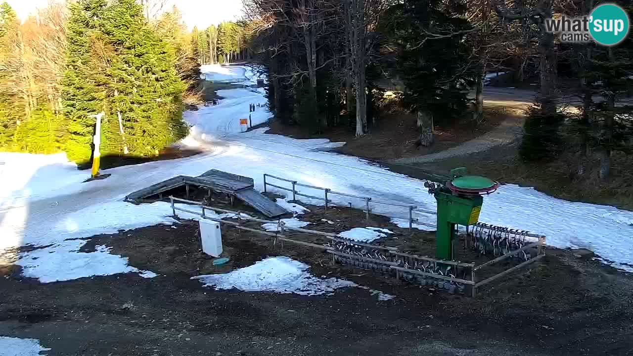 SKI Maribor Pohorje – Ruška webcam