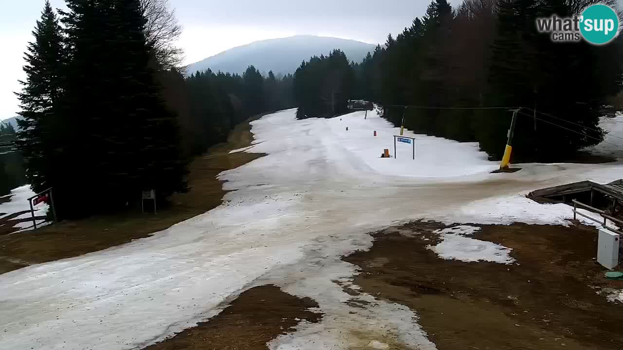 Stations de ski Maribor Pohorje web cam Ruška