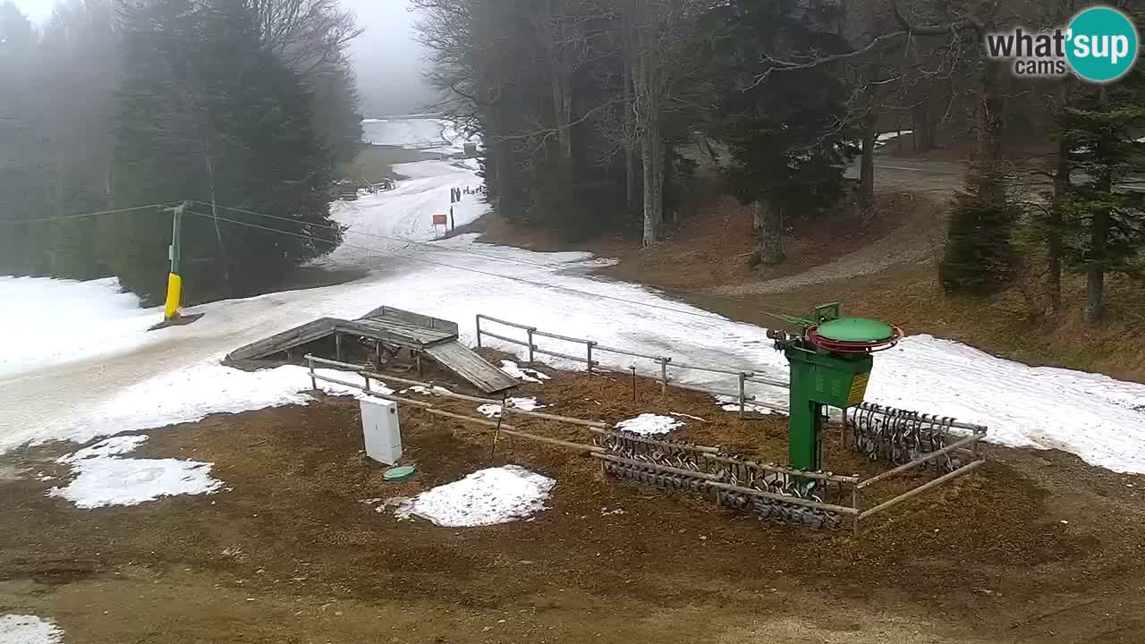 Estaciones de esquí Maribor Pohorje en vivo Ruška