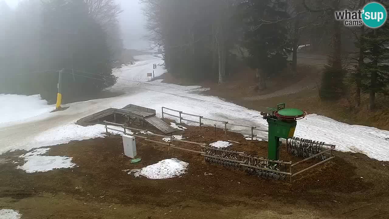 Stations de ski Maribor Pohorje web cam Ruška