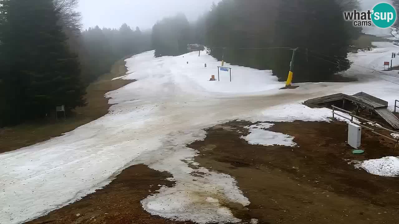 Stations de ski Maribor Pohorje web cam Ruška