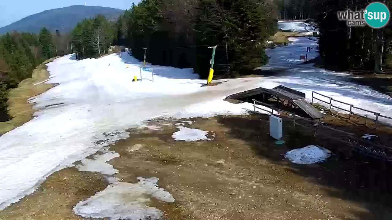 Estaciones de esquí Maribor Pohorje en vivo Ruška