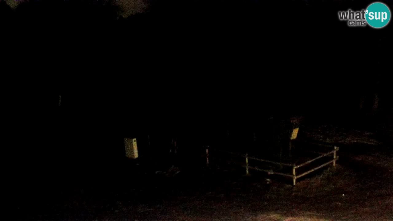 Skijalište Maribor Pohorje web kamera Ruška