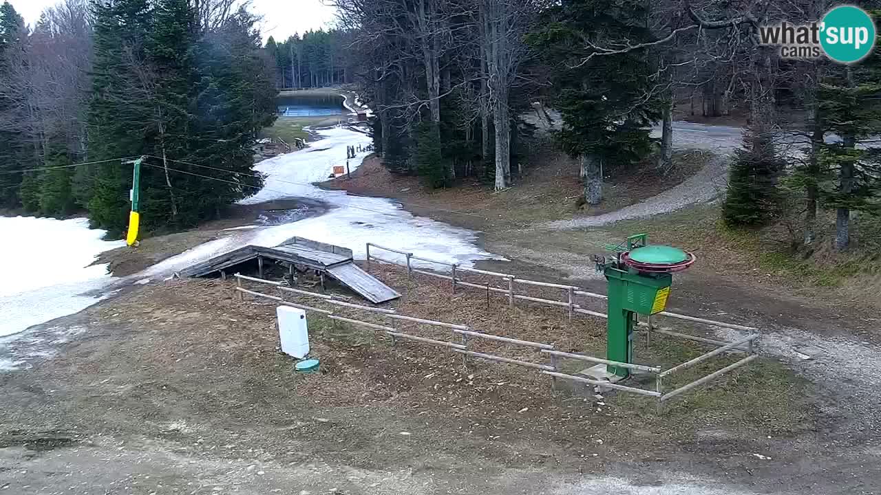 Smučišče Mariborsko Pohorje – spletna kamera Ruška zgoraj