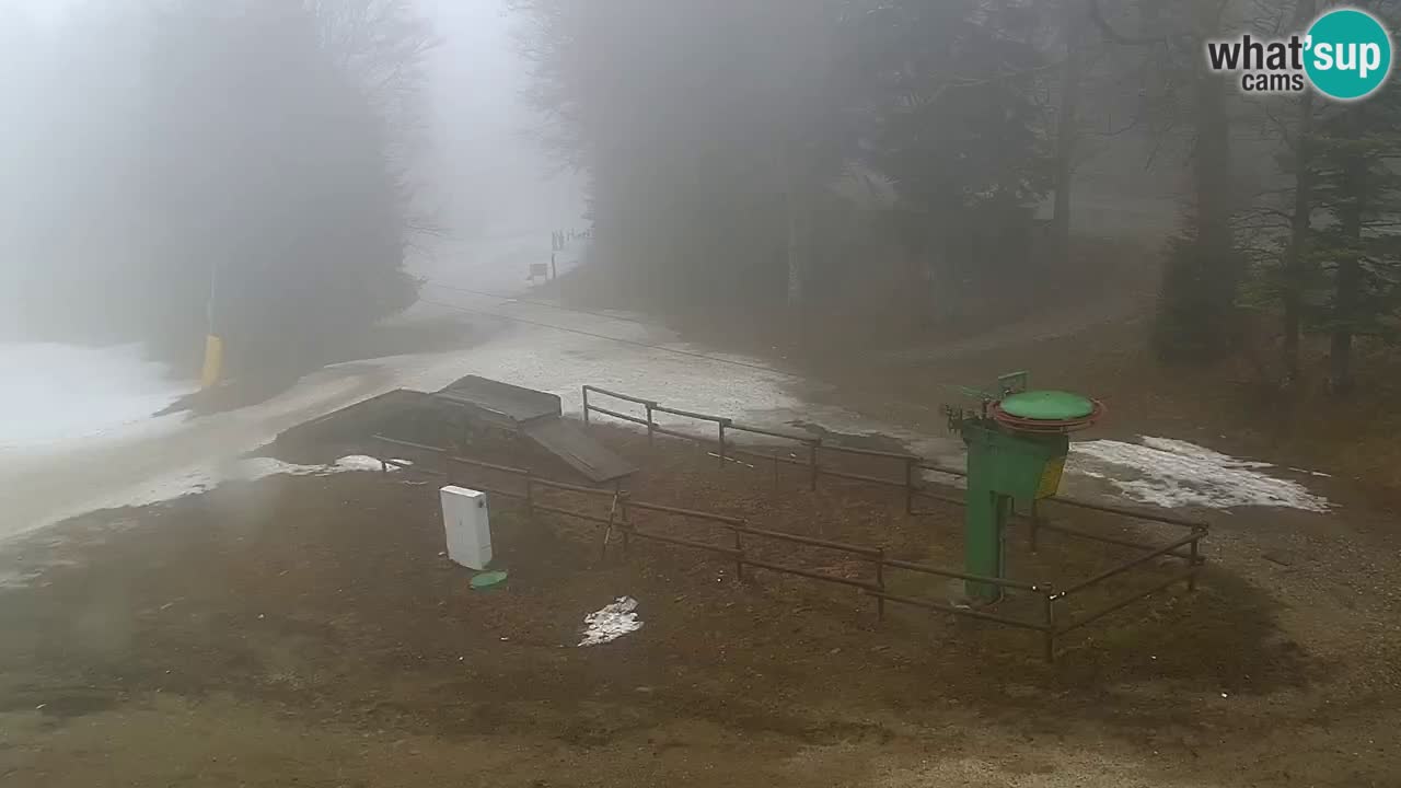 Mariborsko Pohorje – Areh Ruška proga 654