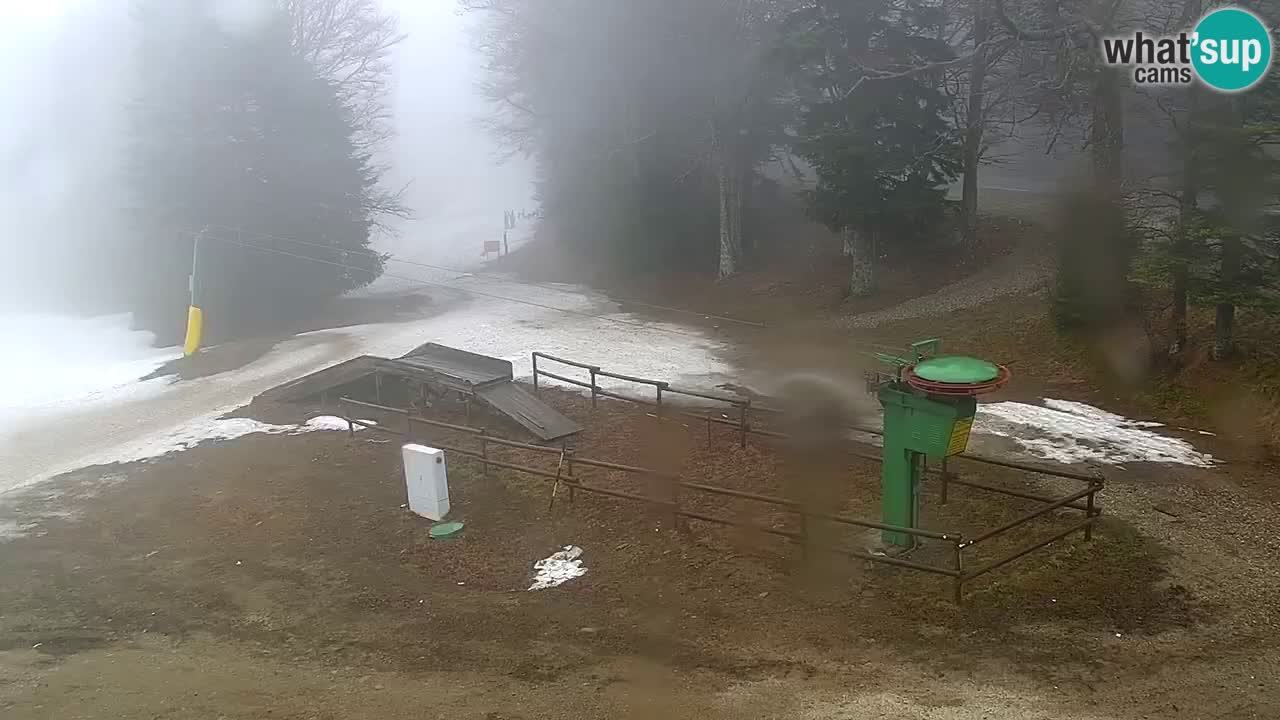 Stazione sciistica Maribor Pohorje – Ruška livecam