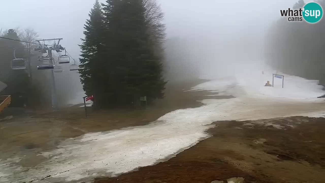 Smučišče Mariborsko Pohorje – spletna kamera Ruška zgoraj