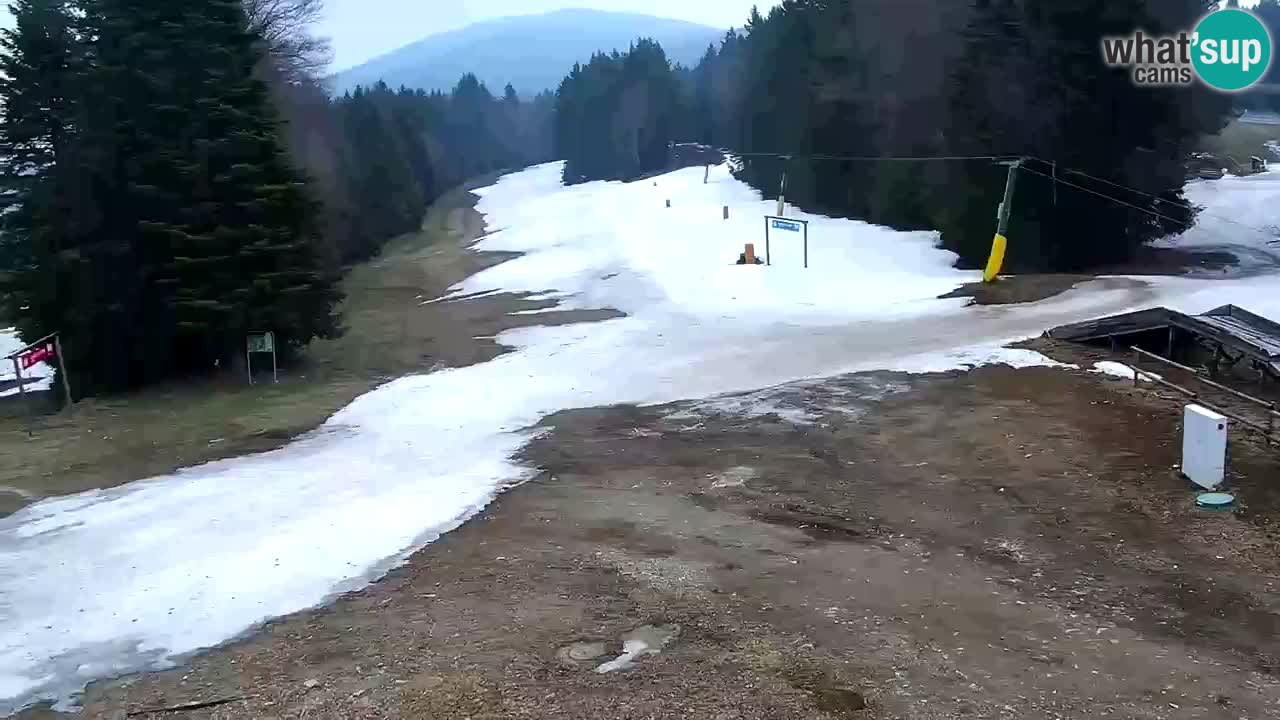 Stations de ski Maribor Pohorje web cam Ruška