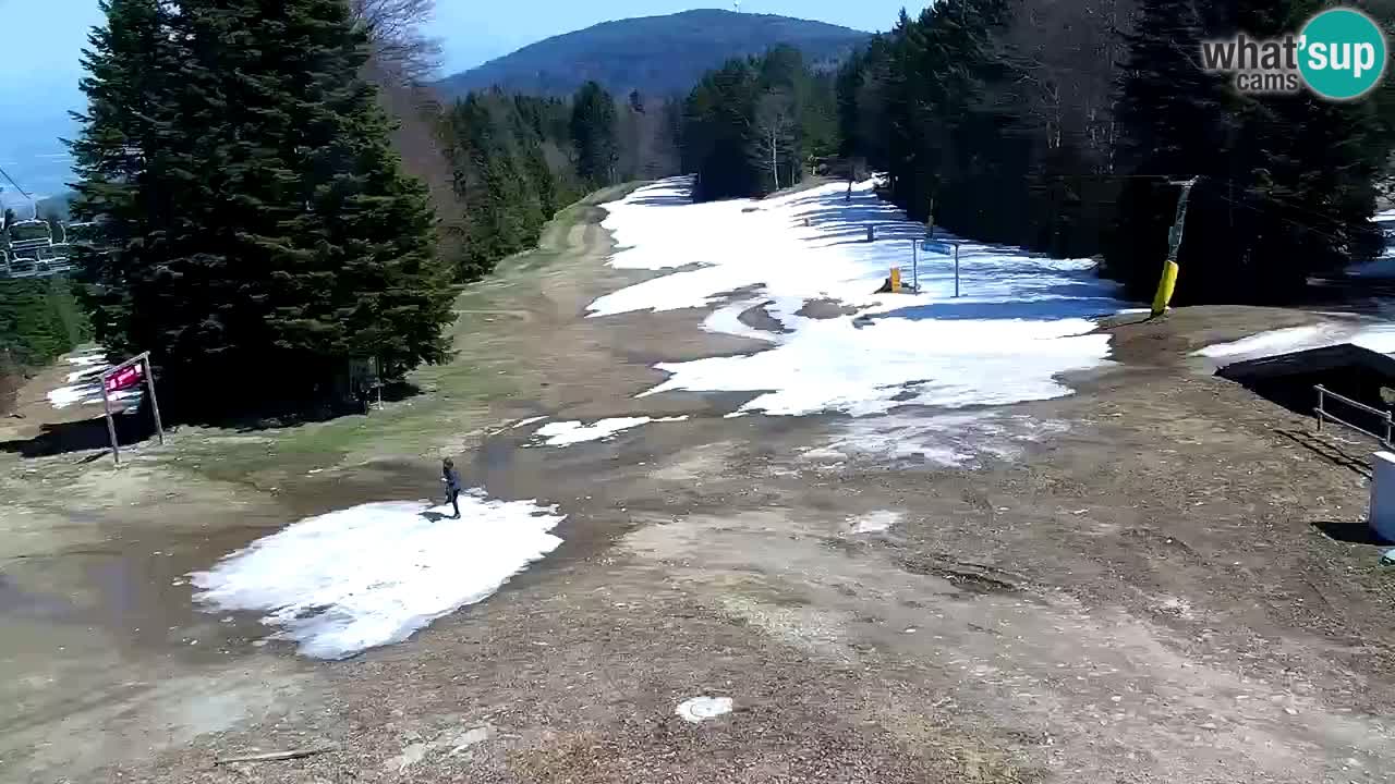 Smučišče Mariborsko Pohorje – spletna kamera Ruška zgoraj