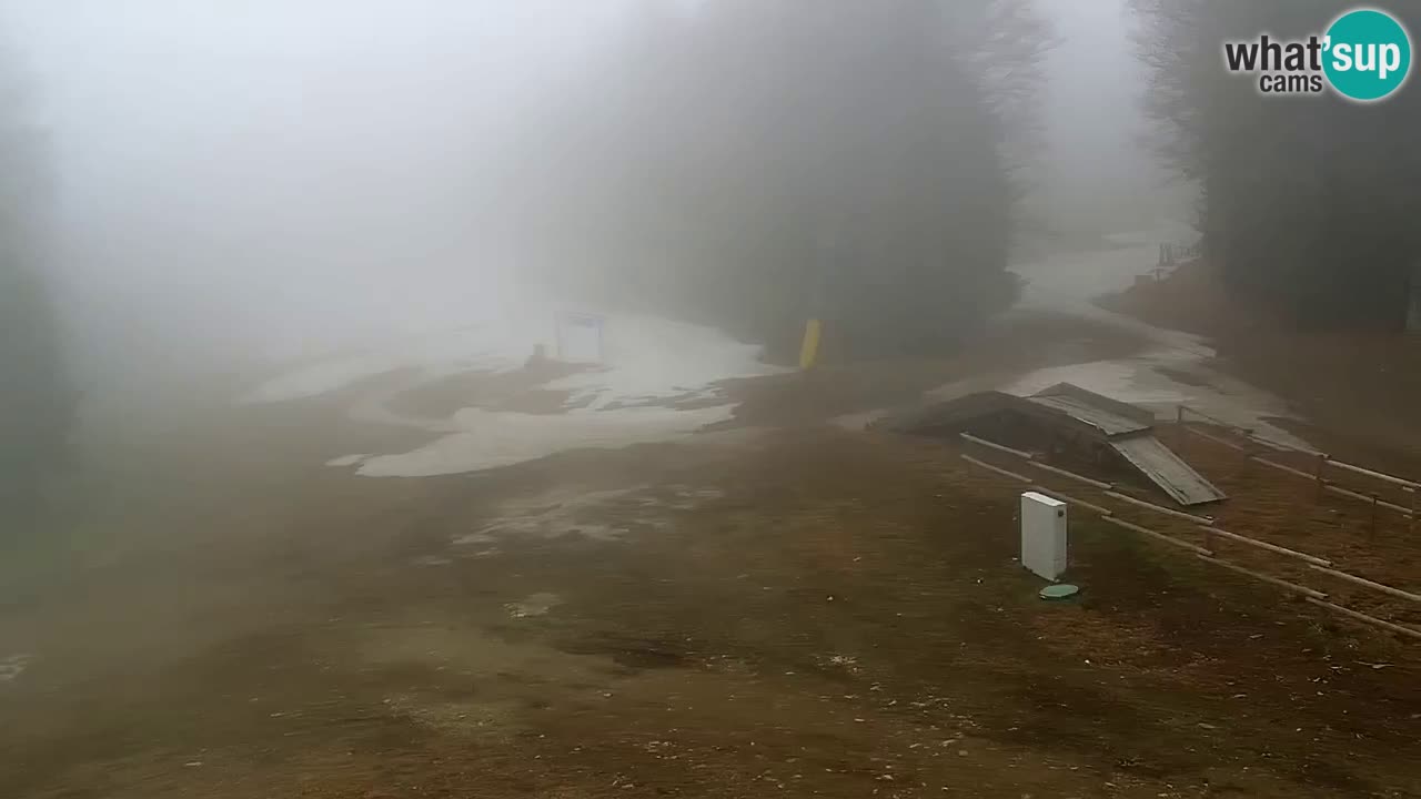 SKI Maribor Pohorje webcam Ruška